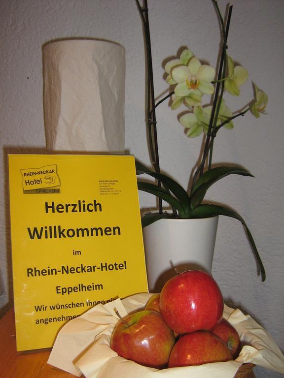 Rhein-Neckar-Hotel Heidelberg Esterno foto